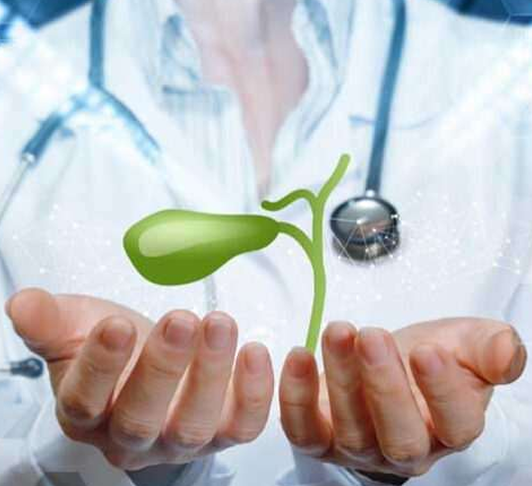 Medical Doctor Expertise